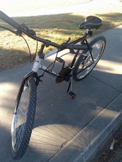 Bike Murray