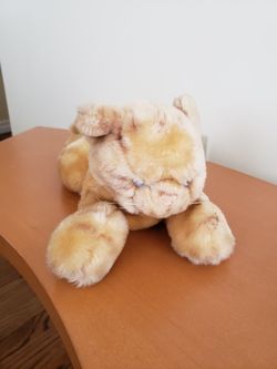 Cute Cat Plush with sound