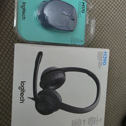 USB Logitech Headset and Wireless Mouse