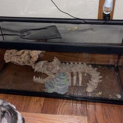 40 Gallon Lizard Tank 