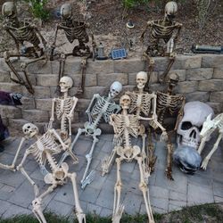 Halloween Decorations