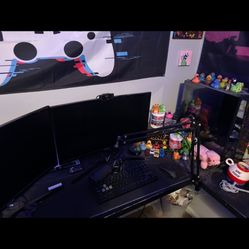 Entire Pc Setup 