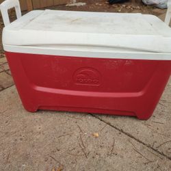 Cooler