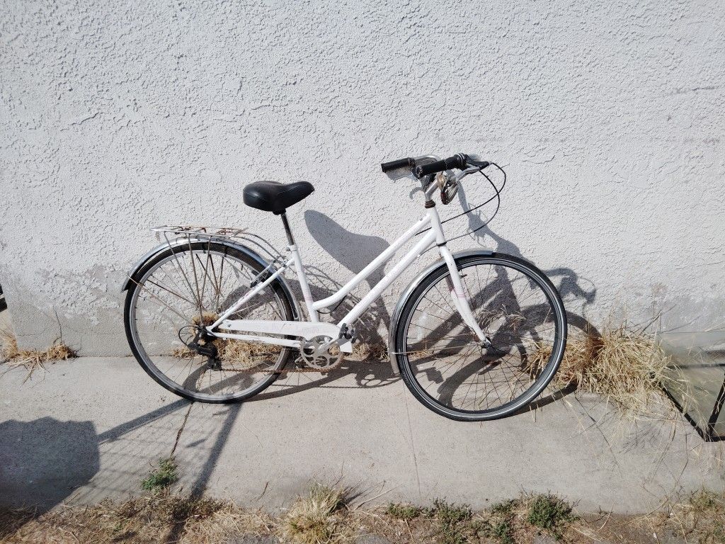Schwinn 10 Speed Ladies Model Needs Some Love
