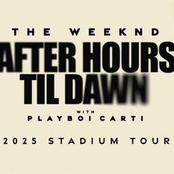 The Weeknd Concert @ MetLife