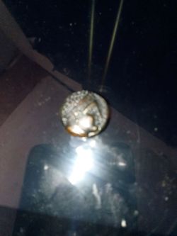 Collectible coin 300 BC