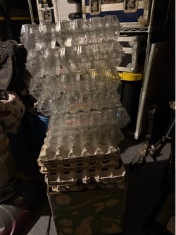 Egg Cartons