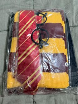 Harry Potter costume