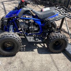 Mini Four Wheeler 