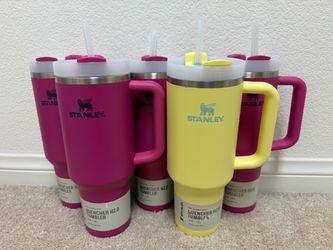 Stanley Quencher H2.0 FlowState Tumblers