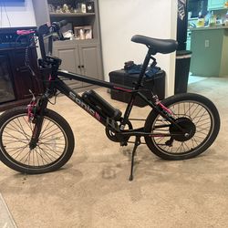 Electric Bike