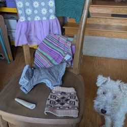 Dog Clothes
