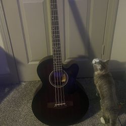 Mitchell Acoustic Bass Guitar
