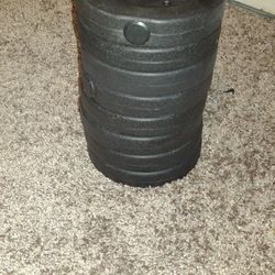 2.5 Lbs  Plates. ( 20lbs Total) 