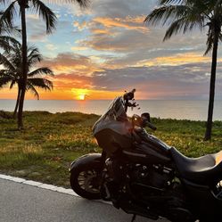 2018 Harley Davidson Street glide special