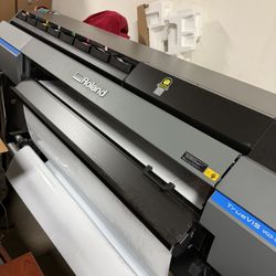 Roland VG3 Printing