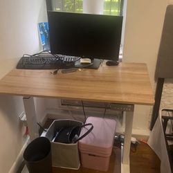 Automatic Standing Desk 