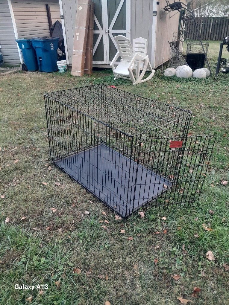 Large Dog Kennel