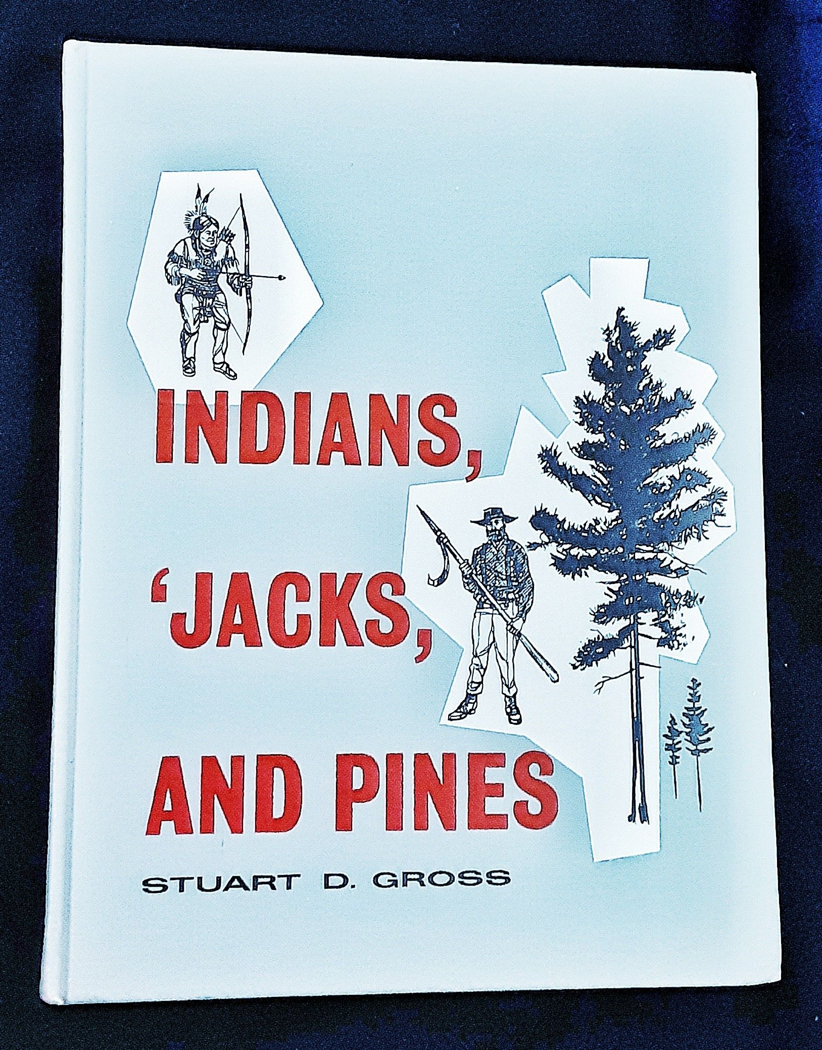 Saginaw Michigan lumber era history book Indians jacks & pines Stuart Gross EXCELLENT