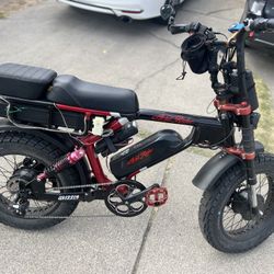 E Bike Aerial Rider Grizzly 