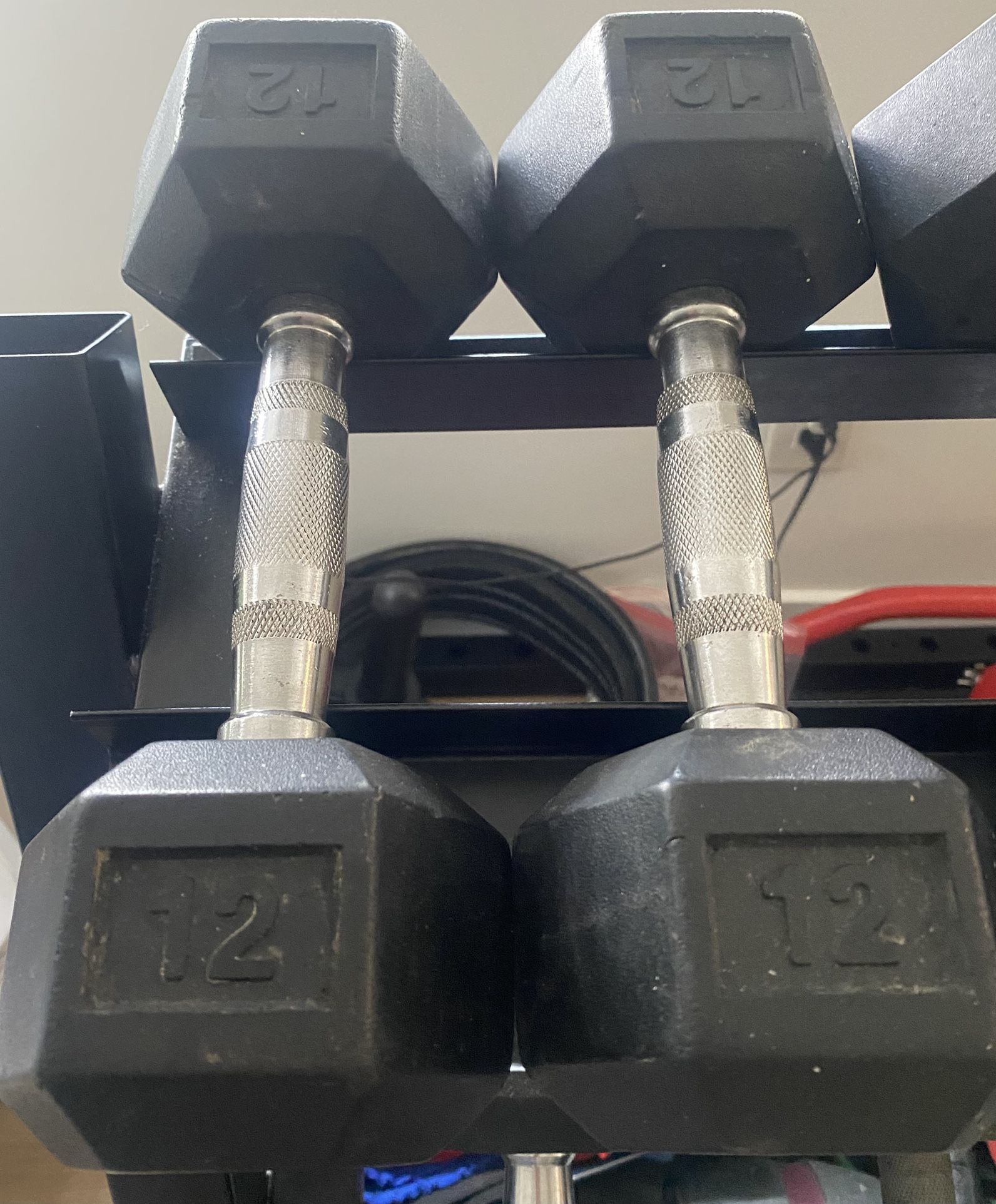 12lbs Dumbbell Set
