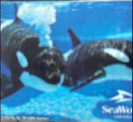 Sea world tickets ($25 each one)