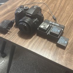 Panasonic Lumix FZ300 4K Camera Bundle - 3 Batteries + Dual Charger