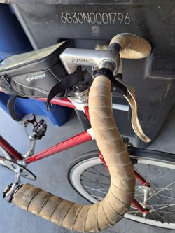 Carlton Road bike/fixed gear