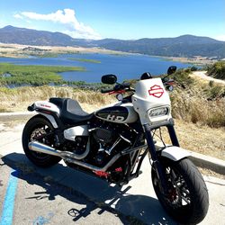 2022 Harley Davidson Fatbob
