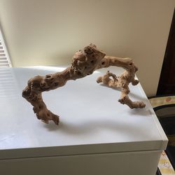 reptile accessories  water bowls climbers hide aways and lights 