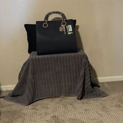 Badgley Mischka Purse 