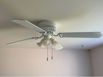 Ceiling fans