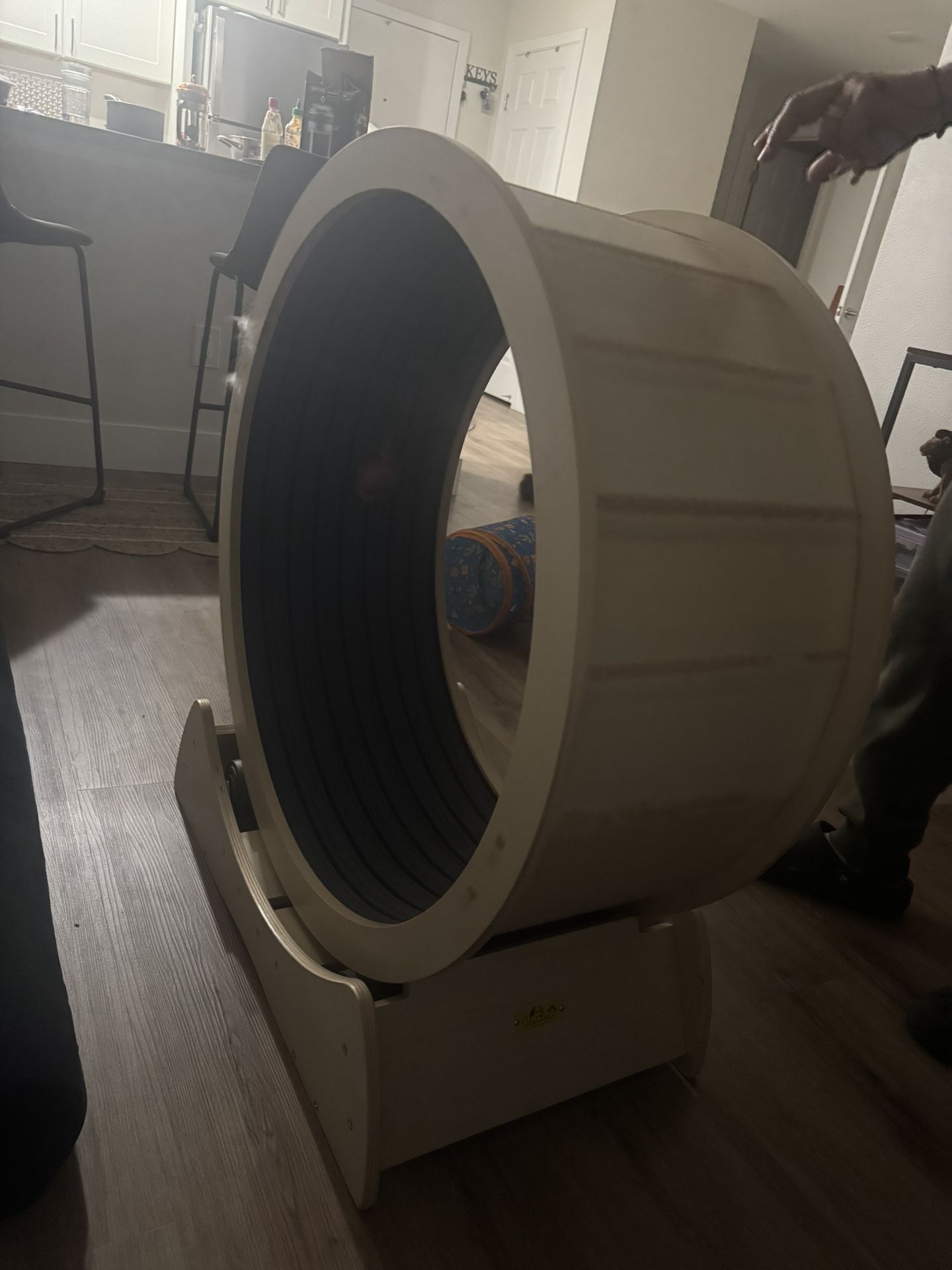 Cat Wheel