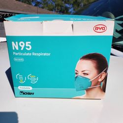 N95 Mask 