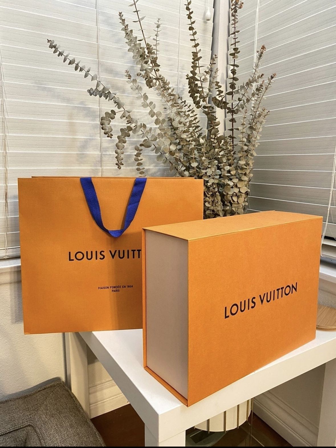 Louis Vuitton medium box, shopping bag and dust cover “NEW” for Sale in Oak  Glen, CA - OfferUp