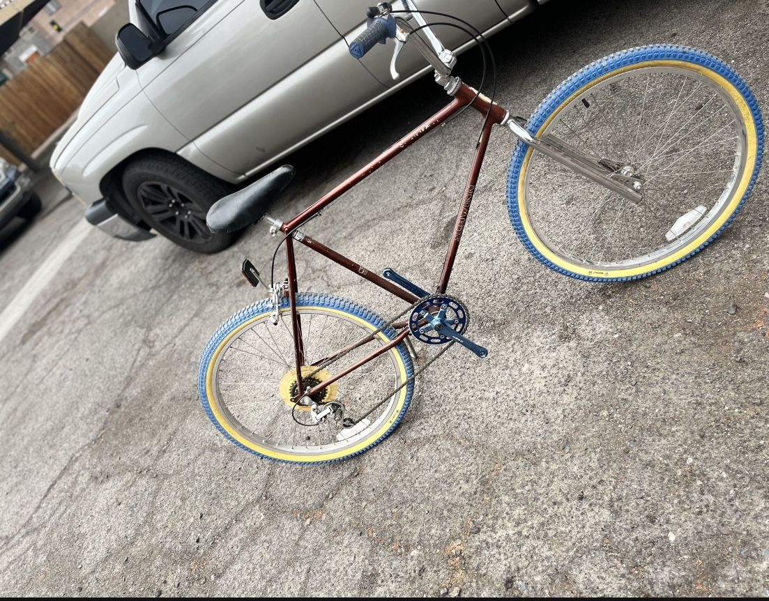 Schwinn Sidewander