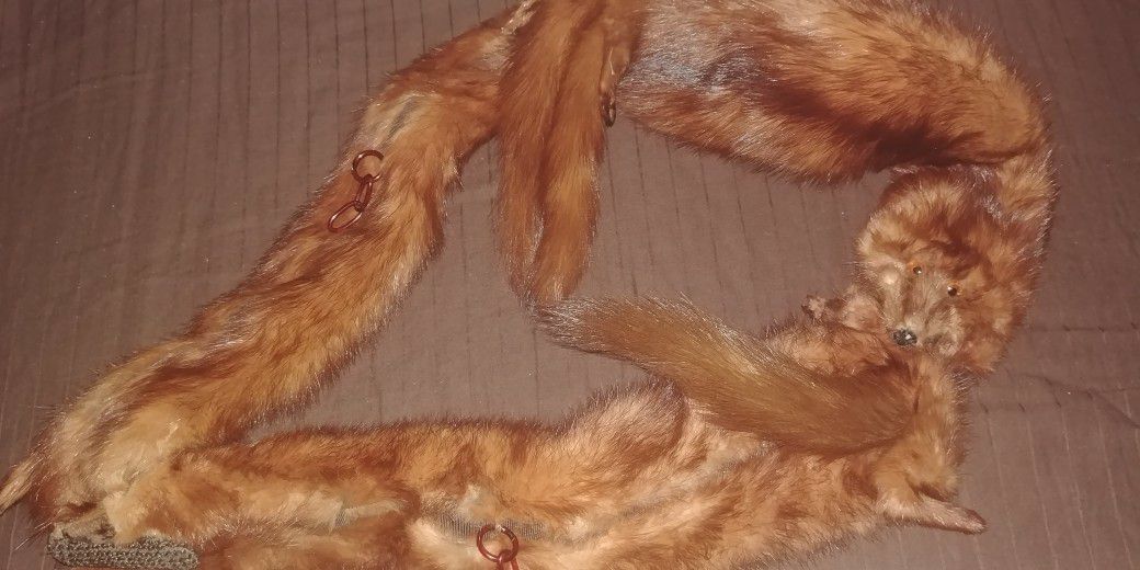 LOVELY NEW MINK WRAP HAVE FIVE MINKS ON IT NEVER WORE VAULED AT $475.00 AT FURRIER WILL VERIFY WILL ACCEPT $120.00 LOVELY PIECE REALLY