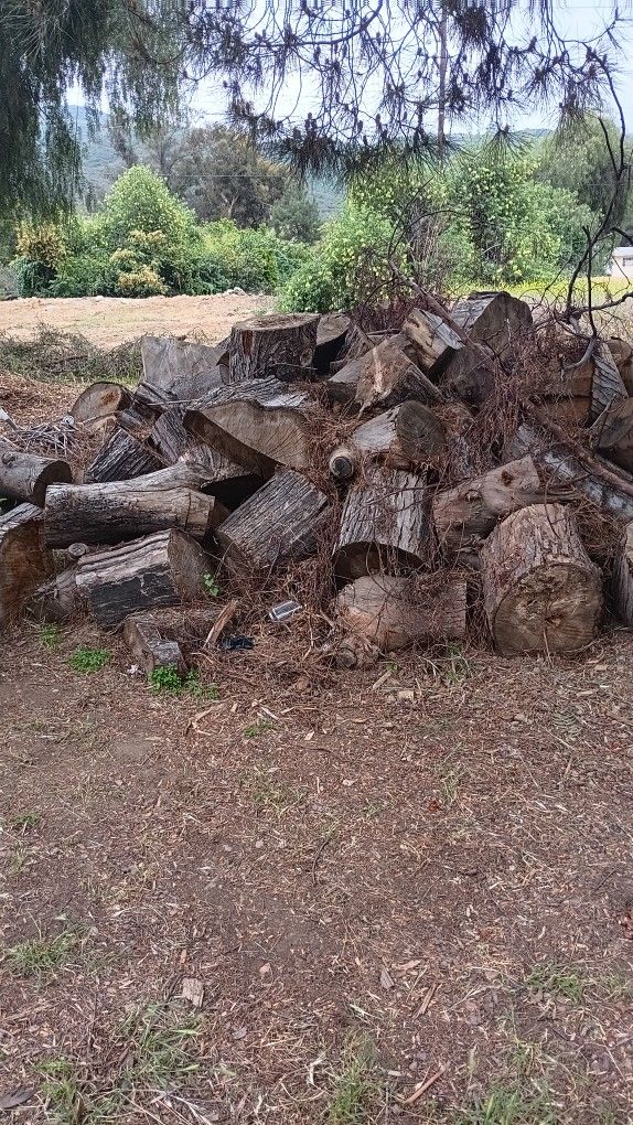 Firewood 