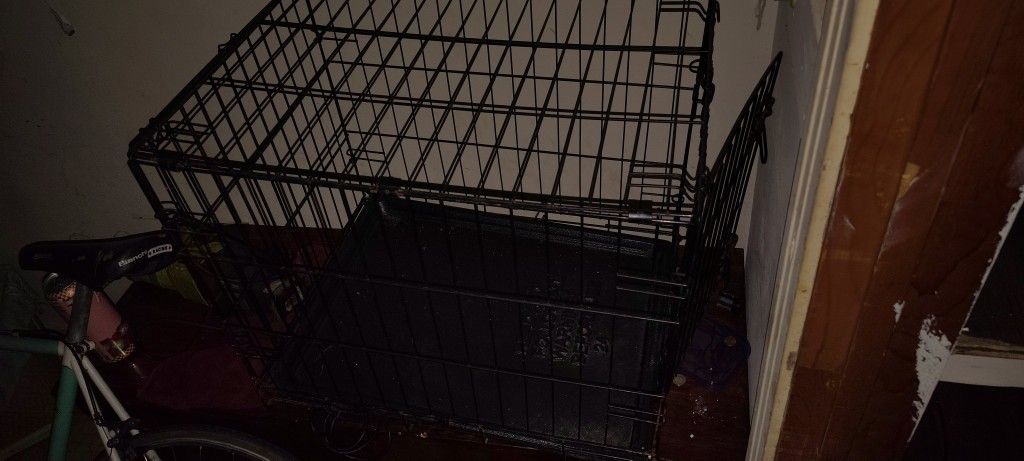 Dog Cage