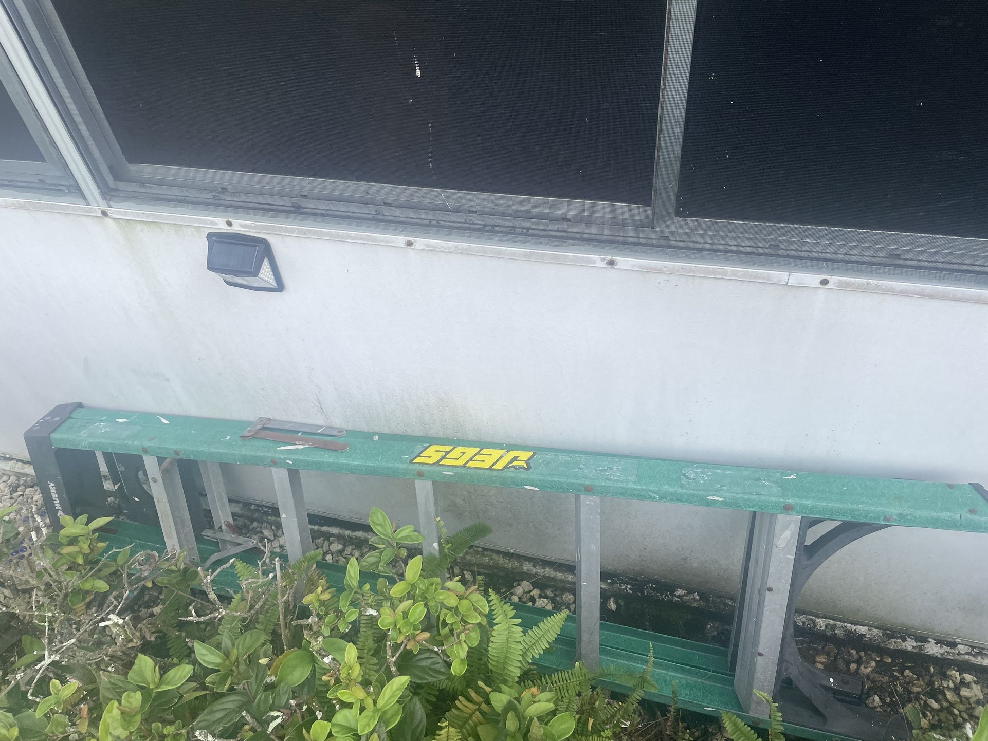 Husky Ladder 6ft