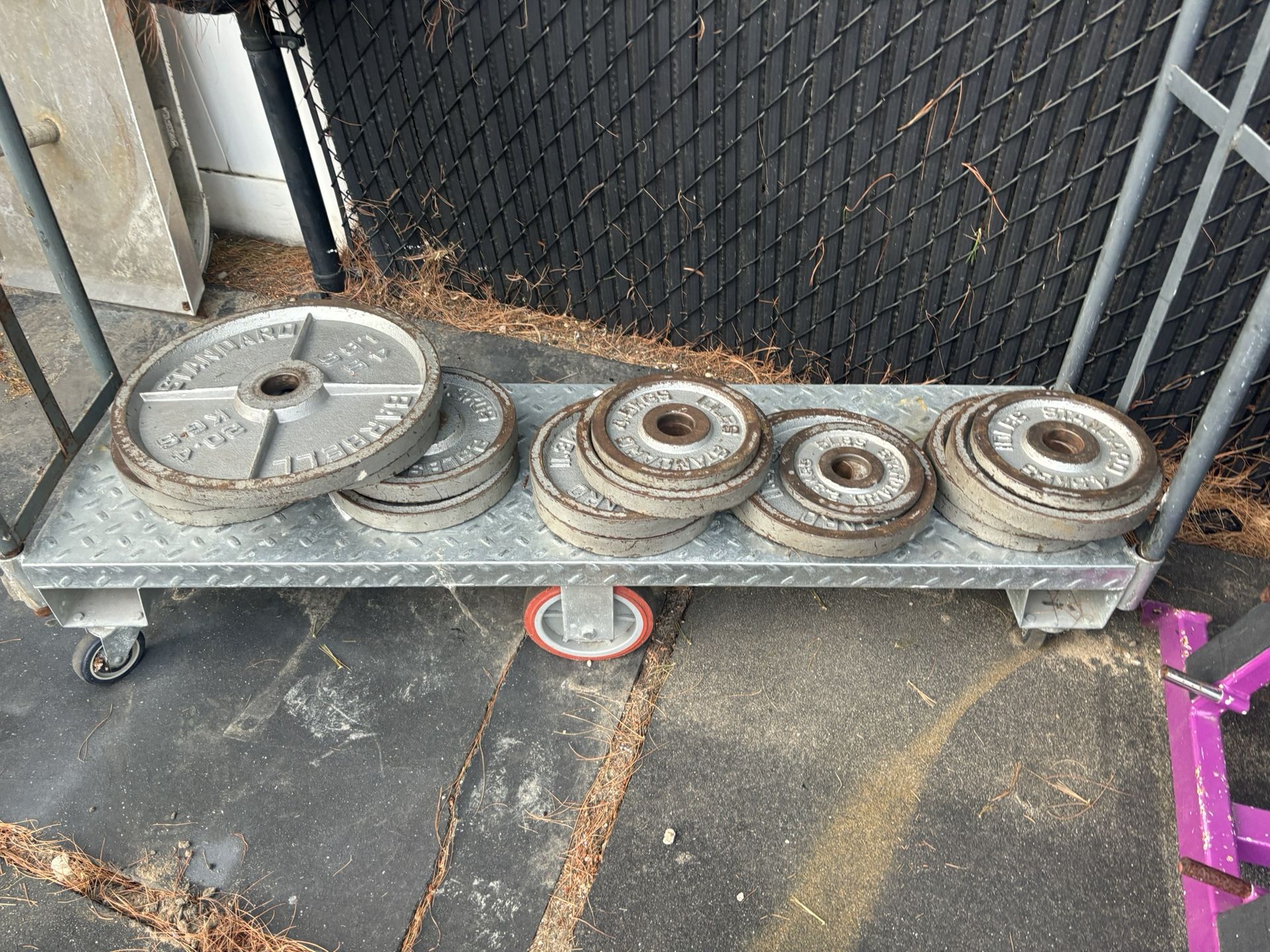 Weight Plates