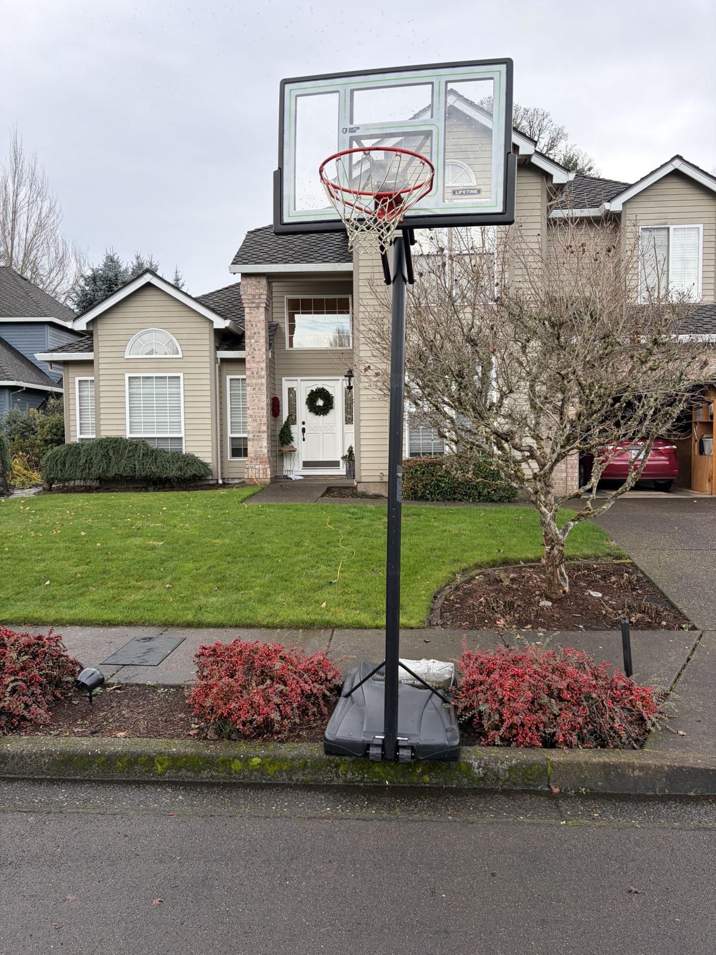 Lifetime Basketball Hoop
