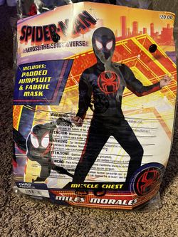 Spider Man 
