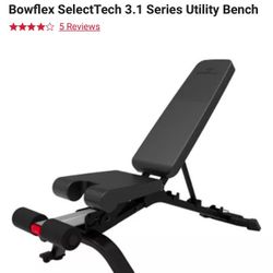 Exercise Bench