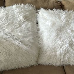 Decorative Cushions