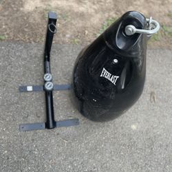 Everlast Hydrostike Heavy Bag +
