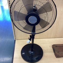 Fan