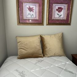 LOVELY FRAMED PICTURES & PILLOWS