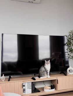 70 inch LG TV (Original price: $600)