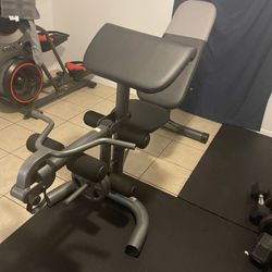 Curl Bench Press